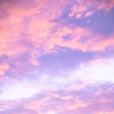 澳门4949资料免费大全下载手机版