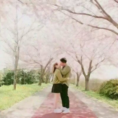 半岛综合娱乐app